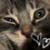 :iconskittles7: