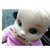 :iconskittygums: