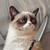 :iconsklaera: