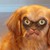 :iconskoparov: