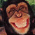 :iconskorch84:
