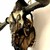 :iconskullartist: