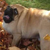 :iconskullblaka214: