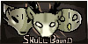 :iconskullbound:
