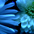 :iconskullofAthena: