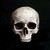 :iconskullsdirect: