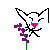 :iconskunkweedplz: