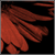:iconsky-blue-192: