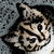 Sky-Kat :iconsky-kat: