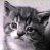 :iconsky-kitty-angel:
