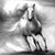 :iconsky-max: