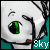 :iconsky-raider: