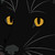 :iconsky-raptor-jay:
