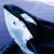 Sky-Whales :iconsky-whales: