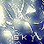 :iconsky1:
