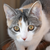 :iconsky1arks:
