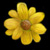 :iconsky511: