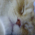 :iconskyandwater: