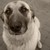 :iconskybird15: