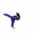 :iconskycostr: