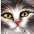 :iconskydancer917: