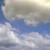 :iconskydragon14: