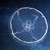 :iconskydreamer707:
