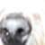 :iconskyei: