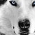 :iconskyesofmagic: