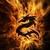 :iconskyewinder123: