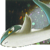 :iconskyflux: