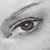 :iconskyfurrow: