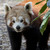 :iconskyhighdream: