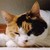 :iconskylar107: