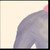 :iconskylarshea: