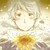 :iconskyleafeon: