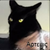 skylinegtr01 :iconskylinegtr01:
