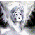 :iconskylionm: