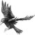 :iconskyraven1: