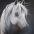 :iconskyrider93: