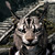SkyrimJo-Rakplz :iconskyrimjo-rakplz: