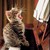 :iconskyrose-prim: