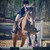 :iconskyrunner1265: