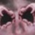 :iconskysurferin: