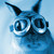 :iconskyturtle137: