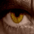 :iconskyviews: