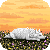 :iconskyvy: