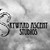 :iconskywardascentstudios: