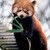 :iconskywinterx: