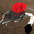 :iconskywolf12356: